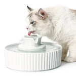 Ceramic Pet Drinking Fountain Puppy Cat Feeding Water Dispenser With Filters