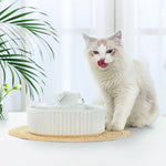 Ceramic Pet Drinking Fountain Puppy Cat Feeding Water Dispenser With Filters